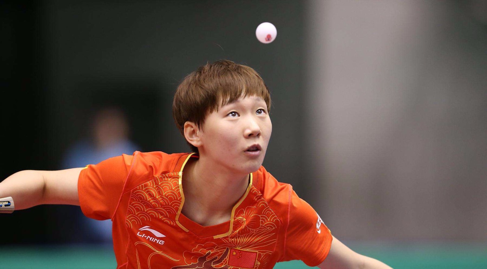 但租借阶段 但租借阶段