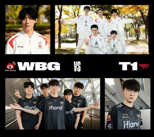 的职业生涯 的职业生涯