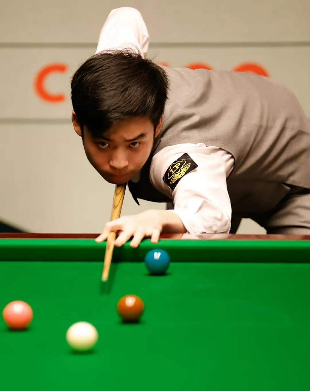 许多球迷脑 许多球迷脑