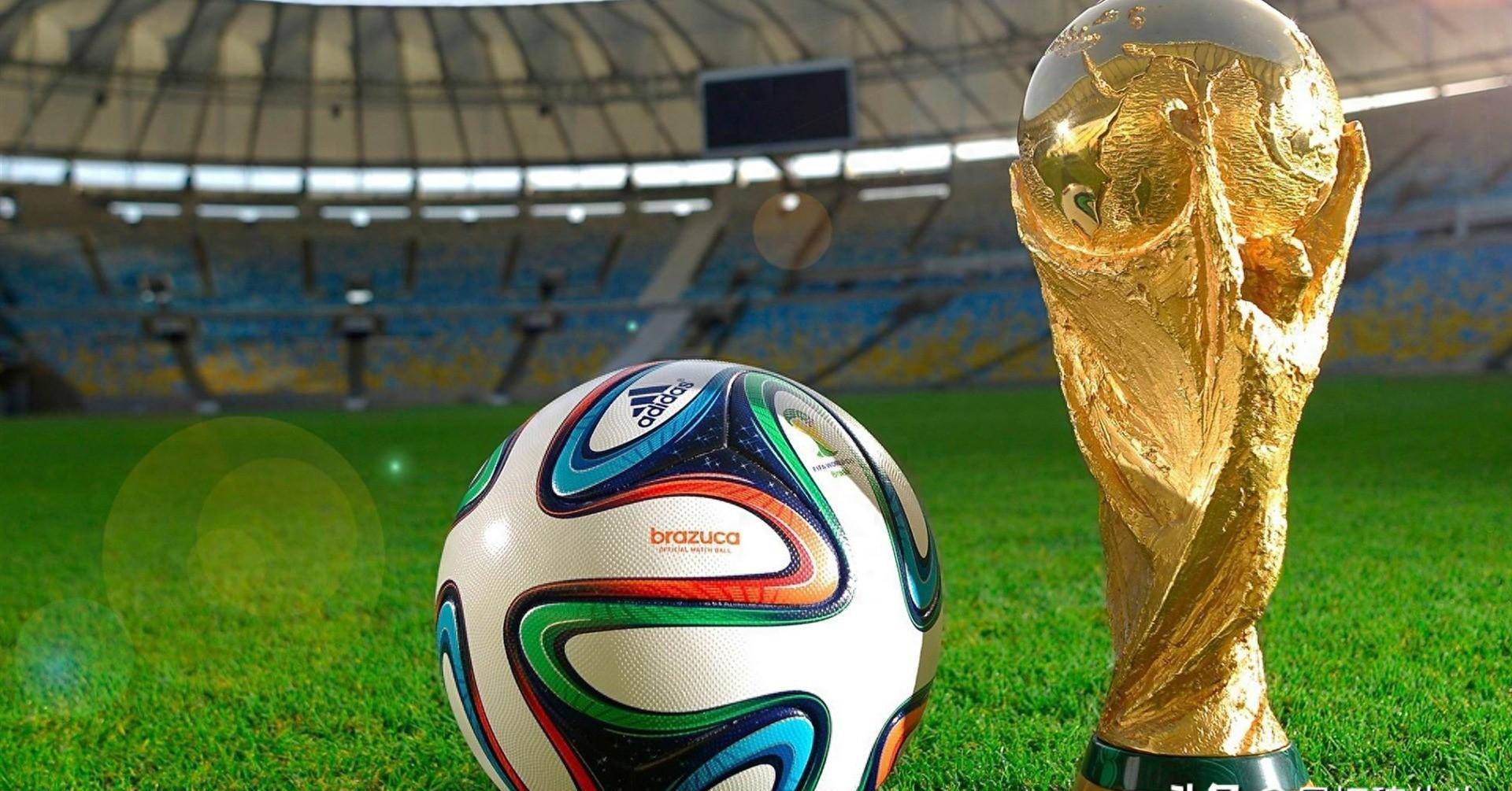 他放弃争抢 他放弃争抢